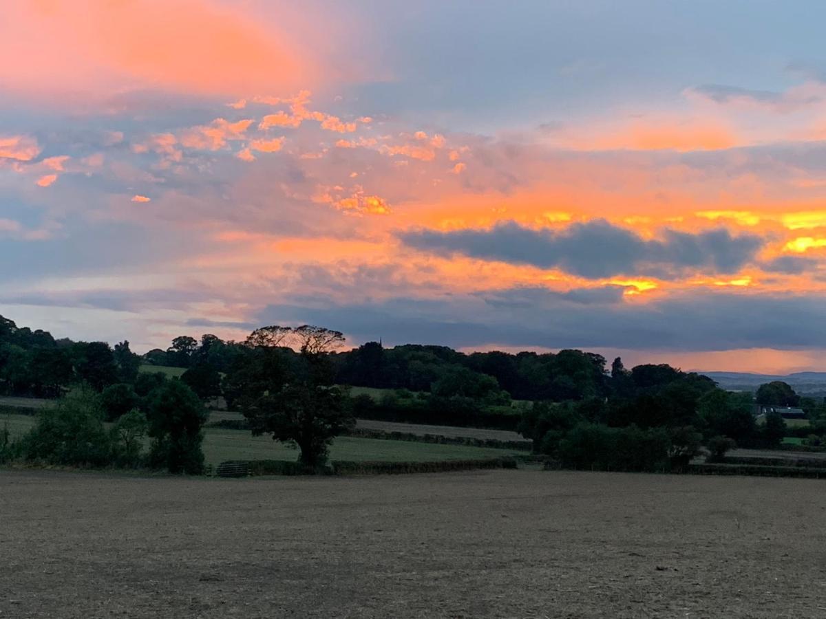 Grinshill Farmhouse Studio Near Shrewsbury المظهر الخارجي الصورة