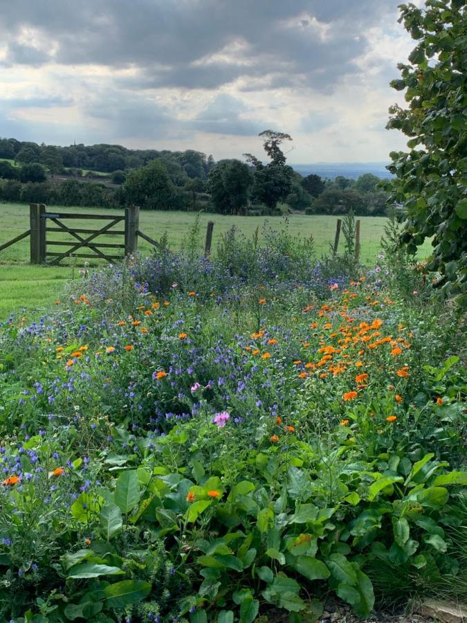 Grinshill Farmhouse Studio Near Shrewsbury المظهر الخارجي الصورة